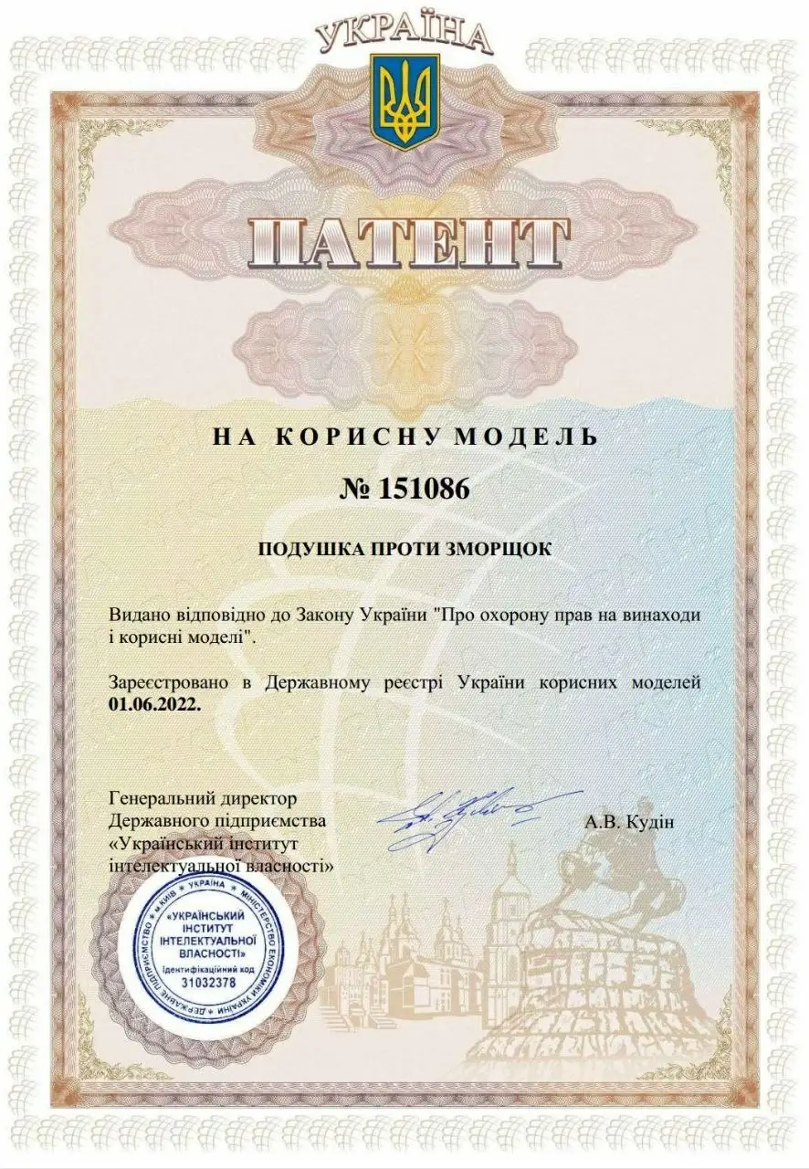 Utility Model Patent. Anti-wrinkle pillow.